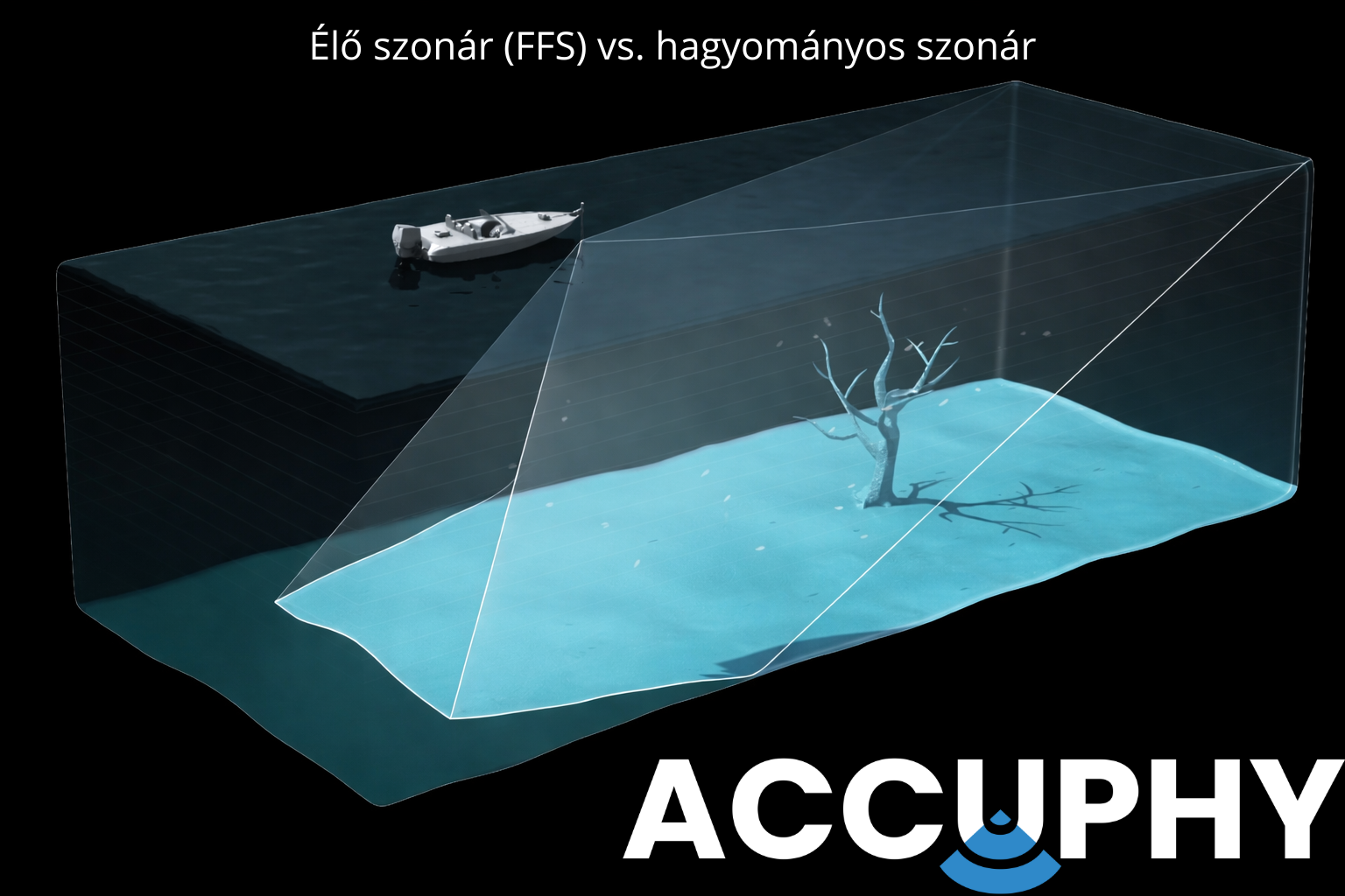 Élő szonár (FFS) vs. hagyományos szonár 